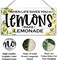 Lemon Decor, When Life Gives You Lemons Make Lemonade Sign, Decorative Wall Plaque, Lemon Quotes Wood Sign, Inspirational Decor Sign, Summer Home Wall Decor, Living Room Decor, Kitchen Decor